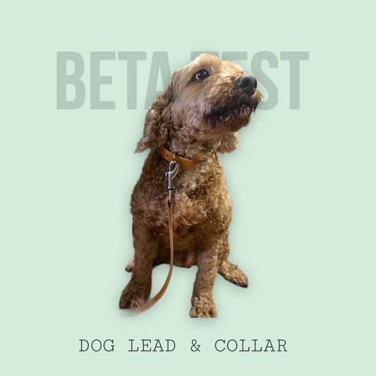 Leather Dog Lead + Collar Set